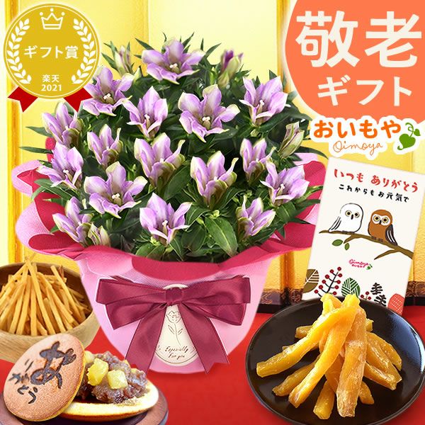 りんどう 5号＆選べるスイーツギフト 敬老の日 プレゼント ギフト 花 りんどう 竜胆 リンドウ 生花 花鉢 孫 ありがとう バウムクーヘン 干し芋 芋けんぴ かりんとう カステラ ようかん あんみつ 秋 送料無料 スイーツ お菓子 和菓子 洋菓子 メッセージカード おいもや