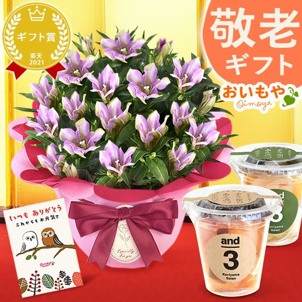 りんどう 5号＆選べるスイーツギフト 敬老の日 プレゼント ギフト 花 りんどう 竜胆 リンドウ 生花 花鉢 孫 ありがとう バウムクーヘン 干し芋 芋けんぴ かりんとう カステラ ようかん あんみつ 秋 送料無料 スイーツ お菓子 和菓子 洋菓子 メッセージカード おいもや