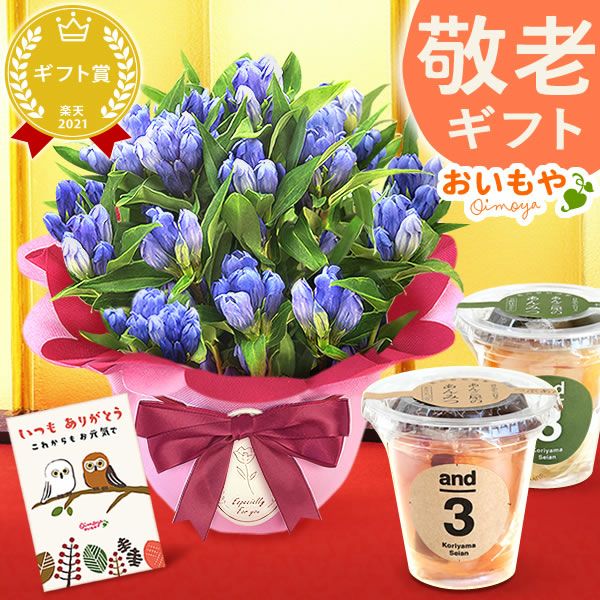 りんどう 5号＆選べるスイーツギフト 敬老の日 プレゼント ギフト 花 りんどう 竜胆 リンドウ 生花 花鉢 孫 ありがとう バウムクーヘン 干し芋 芋けんぴ かりんとう カステラ ようかん あんみつ 秋 送料無料 スイーツ お菓子 和菓子 洋菓子 メッセージカード おいもや