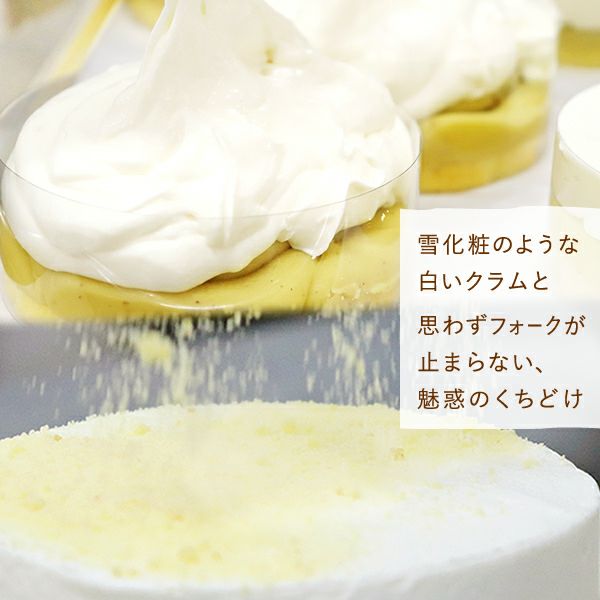 ホワイトデー フロマージュセレクション (4号) 【ギフト プレゼント スイーツ お菓子 洋菓子 フロマージュ バスクチーズケーキ チーズケーキ 可愛い かわいい おしゃれ】