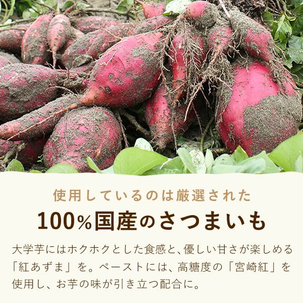 ホワイトデー 大学芋のモンブランタルト (5号) 【ギフト プレゼント スイーツ お菓子 洋菓子 モンブラン モンブランケーキ タルト 可愛い かわいい おしゃれ クリスマス クリスマスケーキ】