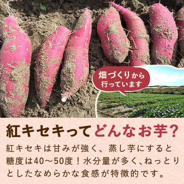 おいもやの二代目干し芋(半生) 130g×5袋 【国産 干し芋 干しいも ほしいも ほし芋 無添加 無着色 さつまいも スイーツ お菓子 和菓子 静岡 2代目】