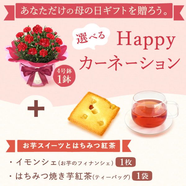 カーネーション(4号)＆お芋スイーツとはちみつ紅茶セット
