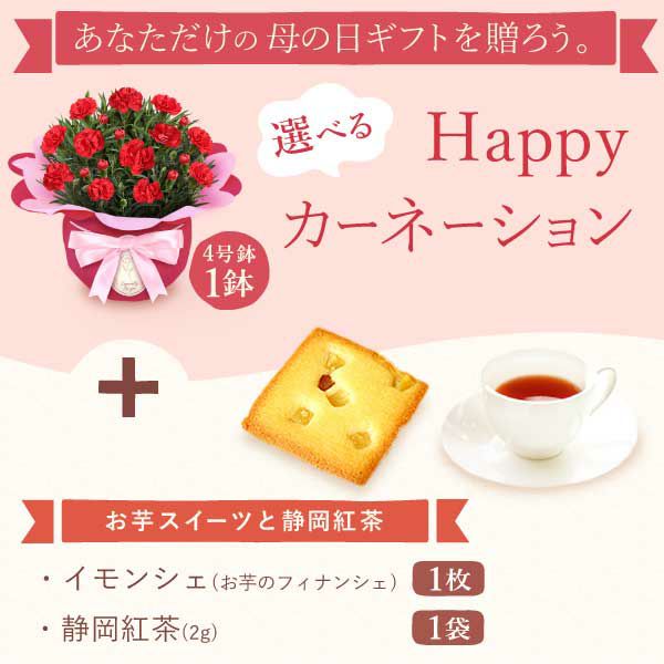 カーネーション(4号)＆お芋スイーツとはちみつ紅茶セット