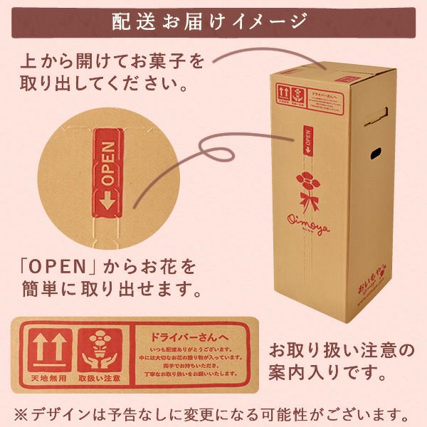 カーネーション(4号)＆お芋スイーツとはちみつ紅茶セット