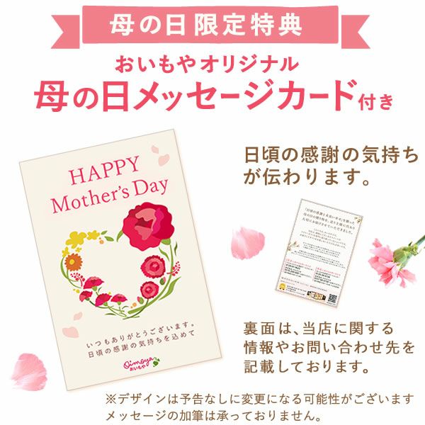 カーネーション(4号)＆お芋スイーツとはちみつ紅茶セット