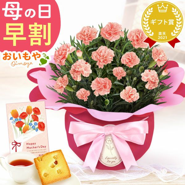 カーネーション(4号)＆お芋スイーツとはちみつ紅茶セット