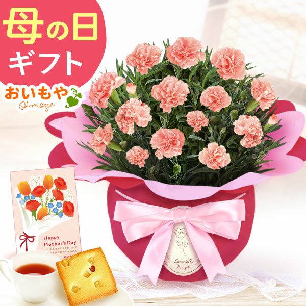 カーネーション(4号)＆お芋スイーツとはちみつ紅茶セット