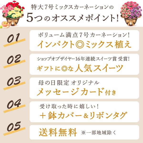 カーネーション7号（7色ミックス）＆バウムクーヘン 母の日 プレゼント 花 生花 ギフト ミックス カラフル カーネーション 7号 特大 花鉢 寄せ植え 鉢植え 希少 ピンク 赤 黄色 紫 緑 色 バウムクーヘン 人気 ははの日 送料無料 スイーツ お菓子 洋菓子 ギフトセット おいもや