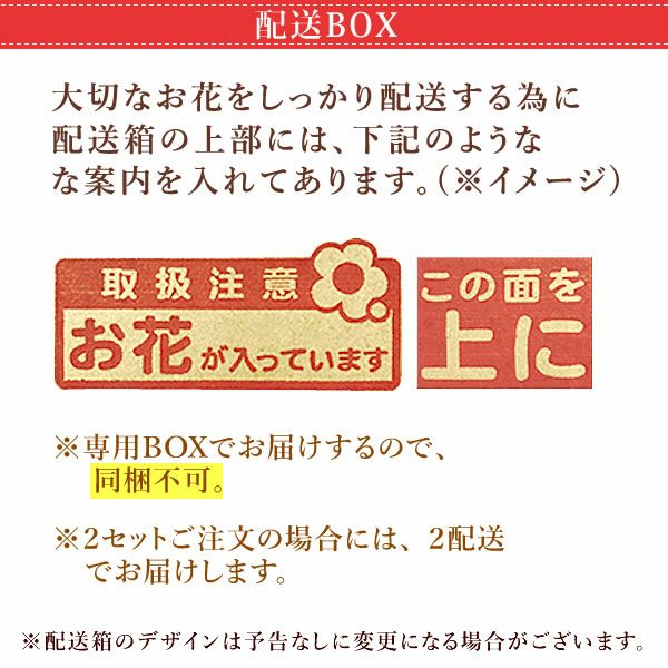 カーネーション7号（7色ミックス）＆バウムクーヘン 母の日 プレゼント 花 生花 ギフト ミックス カラフル カーネーション 7号 特大 花鉢 寄せ植え 鉢植え 希少 ピンク 赤 黄色 紫 緑 色 バウムクーヘン 人気 ははの日 送料無料 スイーツ お菓子 洋菓子 ギフトセット おいもや