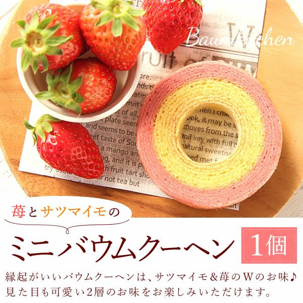 カーネーション7号（7色ミックス）＆バウムクーヘン 母の日 プレゼント 花 生花 ギフト ミックス カラフル カーネーション 7号 特大 花鉢 寄せ植え 鉢植え 希少 ピンク 赤 黄色 紫 緑 色 バウムクーヘン 人気 ははの日 送料無料 スイーツ お菓子 洋菓子 ギフトセット おいもや