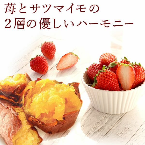 カーネーション7号（7色ミックス）＆バウムクーヘン 母の日 プレゼント 花 生花 ギフト ミックス カラフル カーネーション 7号 特大 花鉢 寄せ植え 鉢植え 希少 ピンク 赤 黄色 紫 緑 色 バウムクーヘン 人気 ははの日 送料無料 スイーツ お菓子 洋菓子 ギフトセット おいもや