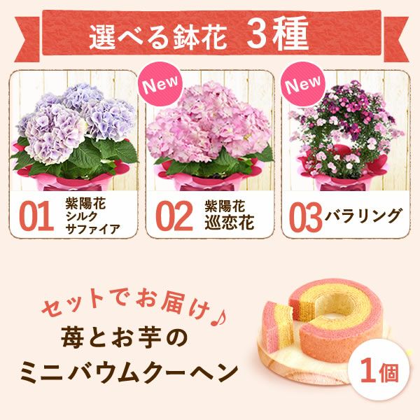 選べる3種！フラワーギフト＆ミニバウムセット 
