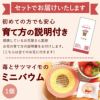 選べる3種！フラワーギフト＆ミニバウムセット 