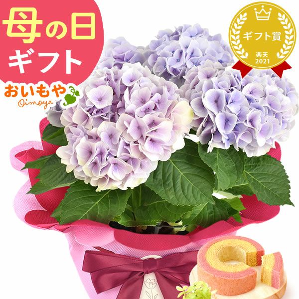 選べる3種！フラワーギフト＆ミニバウムセット 