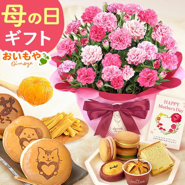 選べるカーネーション(5号)＆スイーツセット 母の日 プレゼント 花 生花 ギフト カーネーション ゼリー クッキー バターサンド どら焼き どらやき バウムクーヘン 干し芋 かりんとう スイートポテト サブレ カステラ 送料無料 スイーツ お菓子 和菓子 洋菓子 ギフトセット