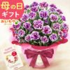 選べるカーネーション(5号)＆スイーツセット 母の日 プレゼント 花 生花 ギフト カーネーション ゼリー クッキー バターサンド どら焼き どらやき バウムクーヘン 干し芋 かりんとう スイートポテト サブレ カステラ 送料無料 スイーツ お菓子 和菓子 洋菓子 ギフトセット