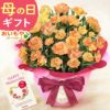 選べるカーネーション(5号)＆スイーツセット 母の日 プレゼント 花 生花 ギフト カーネーション ゼリー クッキー バターサンド どら焼き どらやき バウムクーヘン 干し芋 かりんとう スイートポテト サブレ カステラ 送料無料 スイーツ お菓子 和菓子 洋菓子 ギフトセット