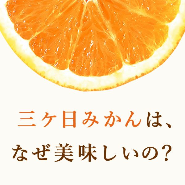 公式】冷凍みかん 500g 三ヶ日みかん｜スイーツ専門店「おいもや」通販
