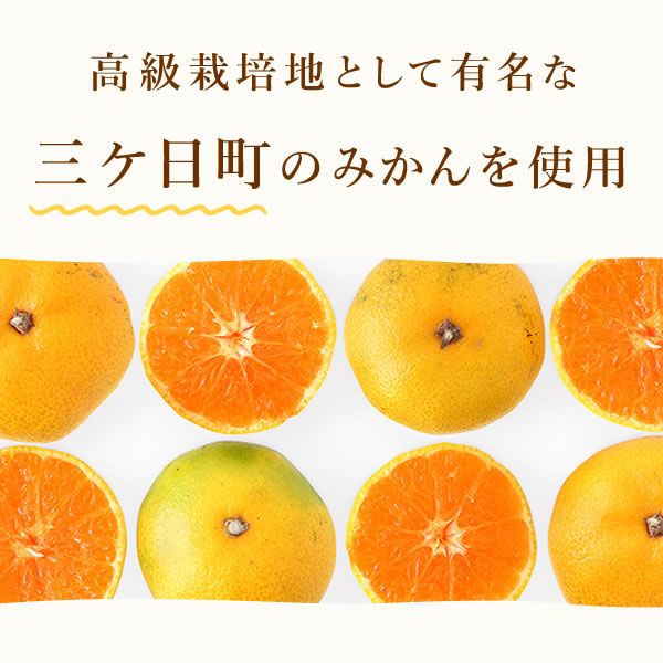 冷凍みかん (500g) 【三ケ日みかん 三ヶ日みかん みかん ミカン スイーツ 果物 くだもの デザート 冷凍フルーツ 静岡 ひんやりスイーツ かき氷にも】