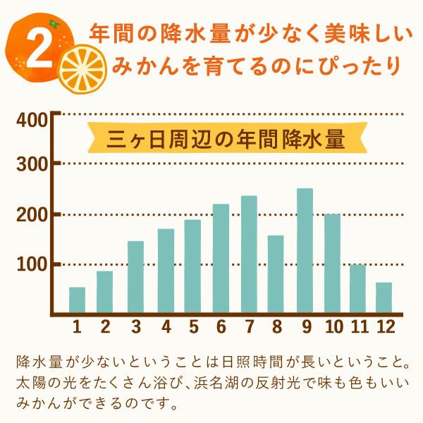 冷凍みかん (500g) 【三ケ日みかん 三ヶ日みかん みかん ミカン スイーツ 果物 くだもの デザート 冷凍フルーツ 静岡 ひんやりスイーツ かき氷にも】