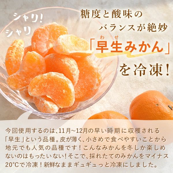 冷凍みかん (500g) 【三ケ日みかん 三ヶ日みかん みかん ミカン スイーツ 果物 くだもの デザート 冷凍フルーツ 静岡 ひんやりスイーツ かき氷にも】