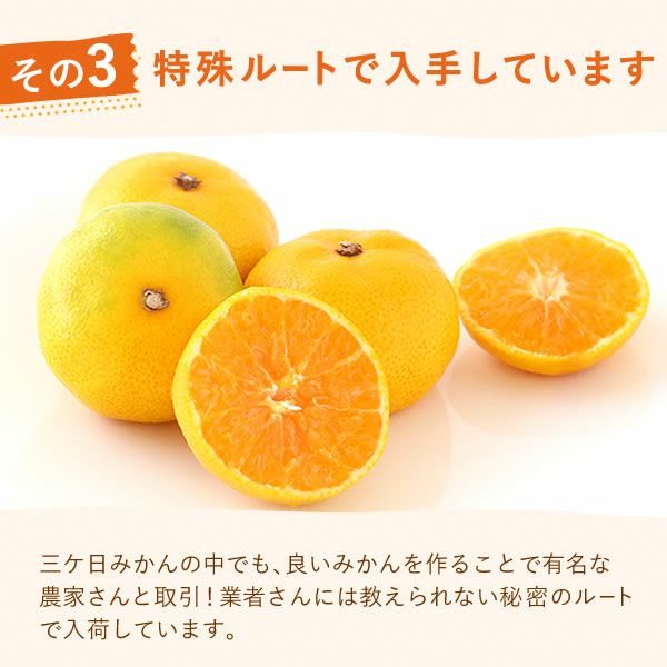 冷凍みかん (500g) 【三ケ日みかん 三ヶ日みかん みかん ミカン スイーツ 果物 くだもの デザート 冷凍フルーツ 静岡 ひんやりスイーツ かき氷にも】