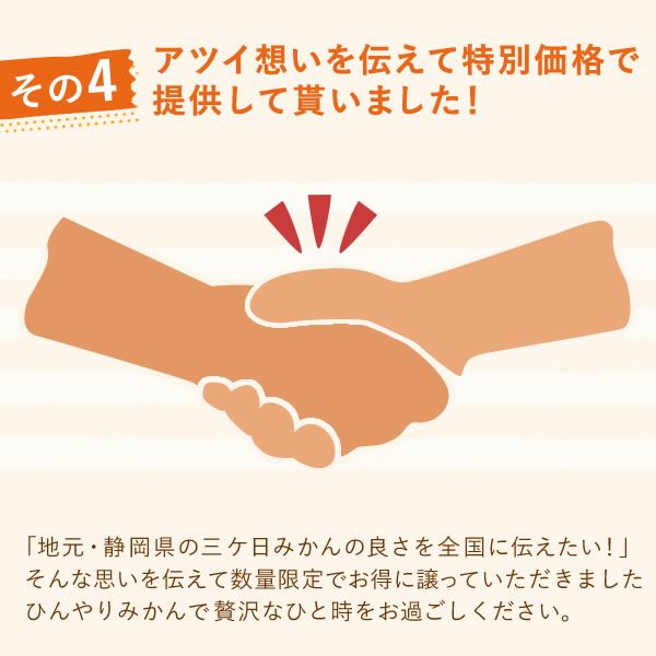 冷凍みかん (500g) 【三ケ日みかん 三ヶ日みかん みかん ミカン スイーツ 果物 くだもの デザート 冷凍フルーツ 静岡 ひんやりスイーツ かき氷にも】