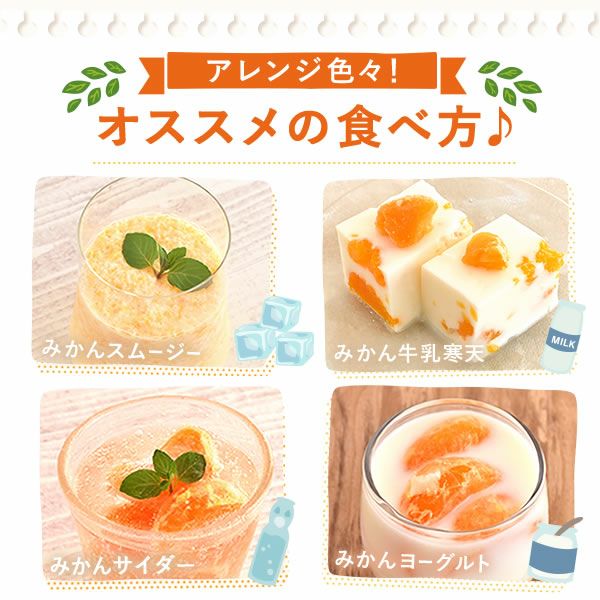 冷凍みかん (500g) 【三ケ日みかん 三ヶ日みかん みかん ミカン スイーツ 果物 くだもの デザート 冷凍フルーツ 静岡 ひんやりスイーツ かき氷にも】
