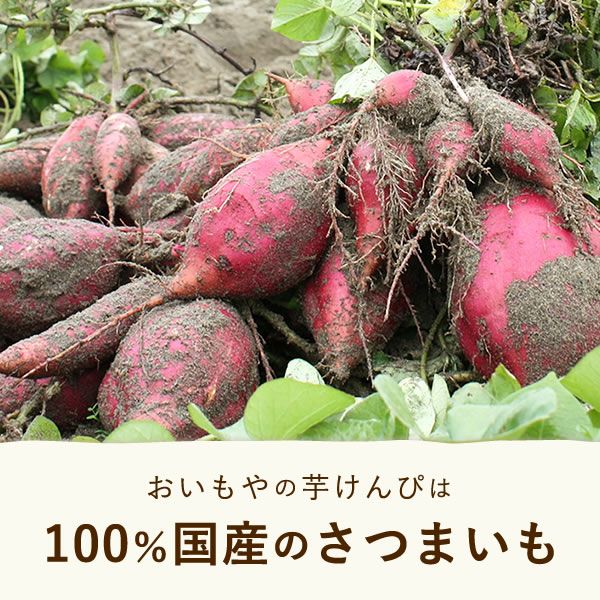 プチギフト 芋かりんとう (1個) 【ギフト プレゼント スイーツ お菓子 和菓子 かりんとう 芋けんぴ お祝い 誕生日 お礼 内祝い お見舞い お世話になりました お供え 産休 転勤 結婚式 送別会 退職 退職祝い お配り おしゃれ】