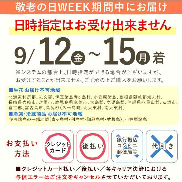 りんどう 5号 敬老の日 プレゼント ギフト 花 りんどう 竜胆 リンドウ 生花 花鉢 孫 秋 送料無料 メッセージカード おいもや