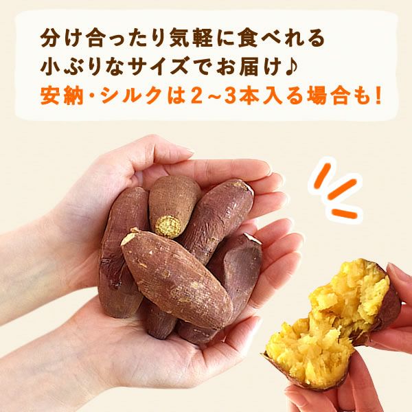 【送料無料】おいもやの干しいも＆焼きいも★黄金セット！ランキング常連の国産焼き芋＆干し芋のセット！