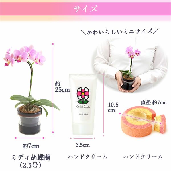 選べるミディ胡蝶蘭＆ハンドクリームお菓子セット 母の日 プレゼント 花 生花 ギフト 胡蝶蘭 ミディ 蘭 ラン 鉢花 鉢植え 生花 パプリカ サクラン ハンドクリーム お祝い おしゃれ 可愛い かわいい バウムクーヘン 苺 いちご 送料無料 スイーツ お菓子 花以外 洋菓子 ギフトセット おいもや