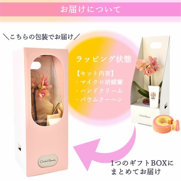 選べるミディ胡蝶蘭＆ハンドクリームお菓子セット 母の日 プレゼント 花 生花 ギフト 胡蝶蘭 ミディ 蘭 ラン 鉢花 鉢植え 生花 パプリカ サクラン ハンドクリーム お祝い おしゃれ 可愛い かわいい バウムクーヘン 苺 いちご 送料無料 スイーツ お菓子 花以外 洋菓子 ギフトセット おいもや