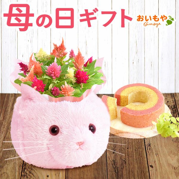 ふわふわポットケイトウ(3号)＆人気スイーツセット 