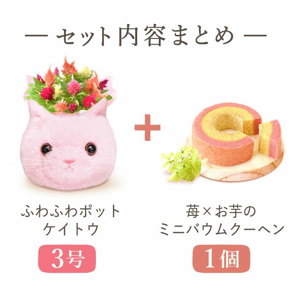 ふわふわポットケイトウ(3号)＆人気スイーツセット 