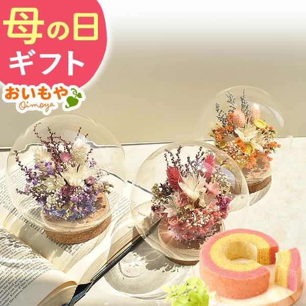 ナチュレガーデン(ドーム型・ピンク)＆バウムクーヘン 母の日 プレゼント 花 ギフト ドライフラワー ガラスドーム アンティーク ナチュラル インテリア 雑貨 置物 玄関 寝室 バウムクーヘン 選べるセット 送料無料 スイーツ お菓子 洋菓子 ギフトセット おいもや