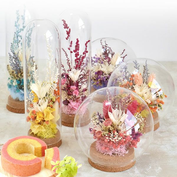 ナチュレガーデン(ドーム型・ピンク)＆バウムクーヘン 母の日 プレゼント 花 ギフト ドライフラワー ガラスドーム アンティーク ナチュラル インテリア 雑貨 置物 玄関 寝室 バウムクーヘン 選べるセット 送料無料 スイーツ お菓子 洋菓子 ギフトセット おいもや