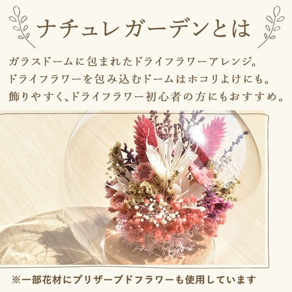 ナチュレガーデン(ドーム型・ピンク)＆バウムクーヘン 母の日 プレゼント 花 ギフト ドライフラワー ガラスドーム アンティーク ナチュラル インテリア 雑貨 置物 玄関 寝室 バウムクーヘン 選べるセット 送料無料 スイーツ お菓子 洋菓子 ギフトセット おいもや