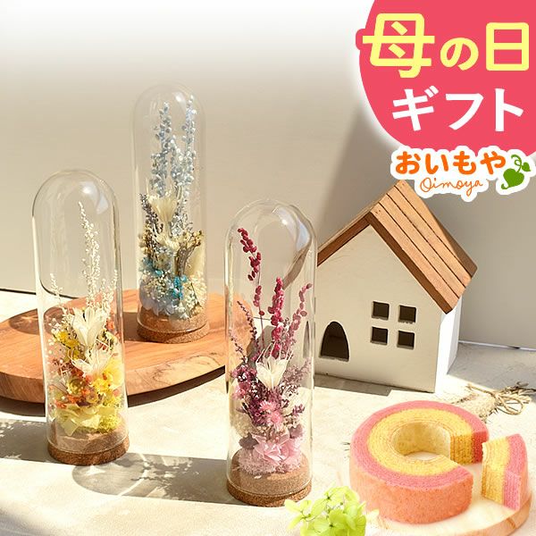 ナチュレガーデン(ボトル型)＆バウムクーヘン 母の日 プレゼント 花 ギフト ドライフラワー ガラスドーム アンティーク ナチュラル インテリア 雑貨 置物 玄関 寝室 バウムクーヘン 選べるセット 送料無料 スイーツ お菓子 洋菓子 ギフトセット おいもや