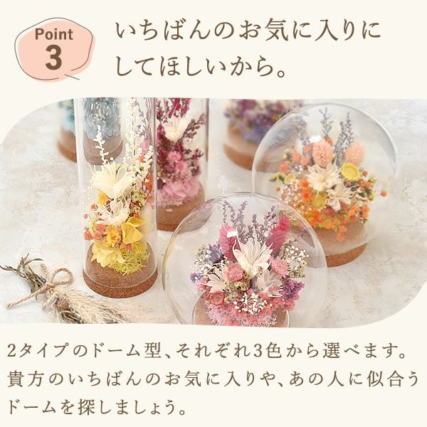 ナチュレガーデン(ボトル型)＆バウムクーヘン 母の日 プレゼント 花 ギフト ドライフラワー ガラスドーム アンティーク ナチュラル インテリア 雑貨 置物 玄関 寝室 バウムクーヘン 選べるセット 送料無料 スイーツ お菓子 洋菓子 ギフトセット おいもや