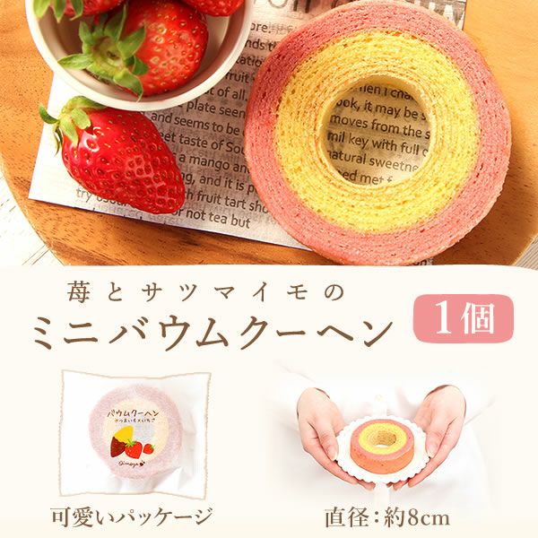 ナチュレガーデン(ボトル型)＆バウムクーヘン 母の日 プレゼント 花 ギフト ドライフラワー ガラスドーム アンティーク ナチュラル インテリア 雑貨 置物 玄関 寝室 バウムクーヘン 選べるセット 送料無料 スイーツ お菓子 洋菓子 ギフトセット おいもや