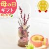 ナチュレガーデン(ボトル型)＆バウムクーヘン 母の日 プレゼント 花 ギフト ドライフラワー ガラスドーム アンティーク ナチュラル インテリア 雑貨 置物 玄関 寝室 バウムクーヘン 選べるセット 送料無料 スイーツ お菓子 洋菓子 ギフトセット おいもや