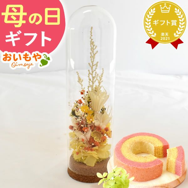ナチュレガーデン(ボトル型)＆バウムクーヘン 母の日 プレゼント 花 ギフト ドライフラワー ガラスドーム アンティーク ナチュラル インテリア 雑貨 置物 玄関 寝室 バウムクーヘン 選べるセット 送料無料 スイーツ お菓子 洋菓子 ギフトセット おいもや