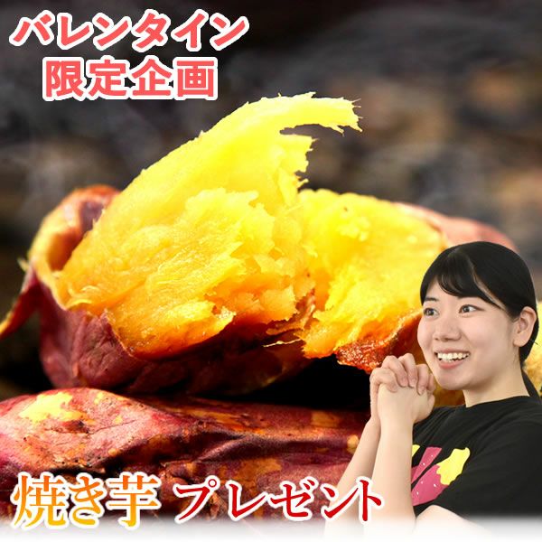 紅はるかの焼き芋 (1本) 【国産 焼きいも 焼芋 やきいも ヤキイモ 紅はるか べにはるか ベニハルカ さつまいも サツマイモ 薩摩芋 スイーツ 個包装 冷凍 冷やし 冷やし焼き芋 冷凍焼き芋 ひんやりスイーツ 限定 1円】