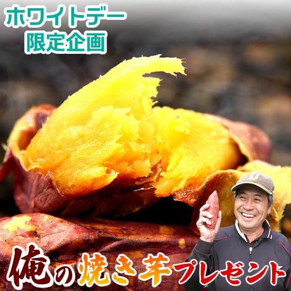 紅はるかの焼き芋 (1本) 【国産 焼きいも 焼芋 やきいも ヤキイモ 紅はるか べにはるか ベニハルカ さつまいも サツマイモ 薩摩芋 スイーツ 個包装 冷凍 冷やし 冷やし焼き芋 冷凍焼き芋 ひんやりスイーツ 限定 1円】