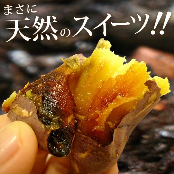  紅はるかの焼き芋 (1本) 【国産 焼きいも 焼芋 やきいも ヤキイモ 紅はるか べにはるか ベニハルカ さつまいも サツマイモ 薩摩芋 スイーツ 個包装 冷凍 冷やし 冷やし焼き芋 冷凍焼き芋 ひんやりスイーツ 限定 1円】