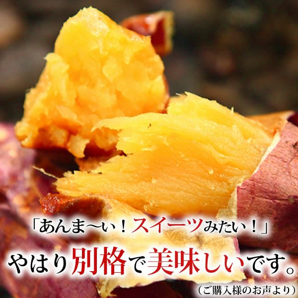  紅はるかの焼き芋 (1本) 【国産 焼きいも 焼芋 やきいも ヤキイモ 紅はるか べにはるか ベニハルカ さつまいも サツマイモ 薩摩芋 スイーツ 個包装 冷凍 冷やし 冷やし焼き芋 冷凍焼き芋 ひんやりスイーツ 限定 1円】