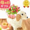 わんちゃん（ケイトウ）＆スイーツセット 母の日 プレゼント 花 ギフト カーネーション ケイトウ 花鉢 鉢花 鉢植え アニマル 犬 猫 ネコ ねこ クマ くま バウムクーヘン いちご 苺 イチゴ 送料無料 スイーツ お菓子 洋菓子 ギフトセット おいもや
