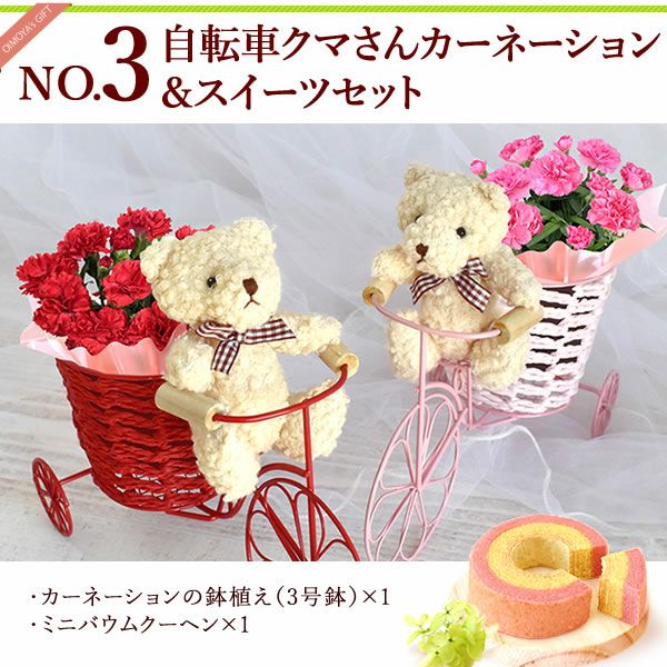 ALT 自転車クマさん（カーネーション）＆スイーツセット 母の日 プレゼント 花 ギフト カーネーション ケイトウ 花鉢 鉢花 鉢植え アニマル 犬 猫 ネコ ねこ クマ くま バウムクーヘン いちご 苺 イチゴ 送料無料 スイーツ お菓子 洋菓子 ギフトセット おいもや